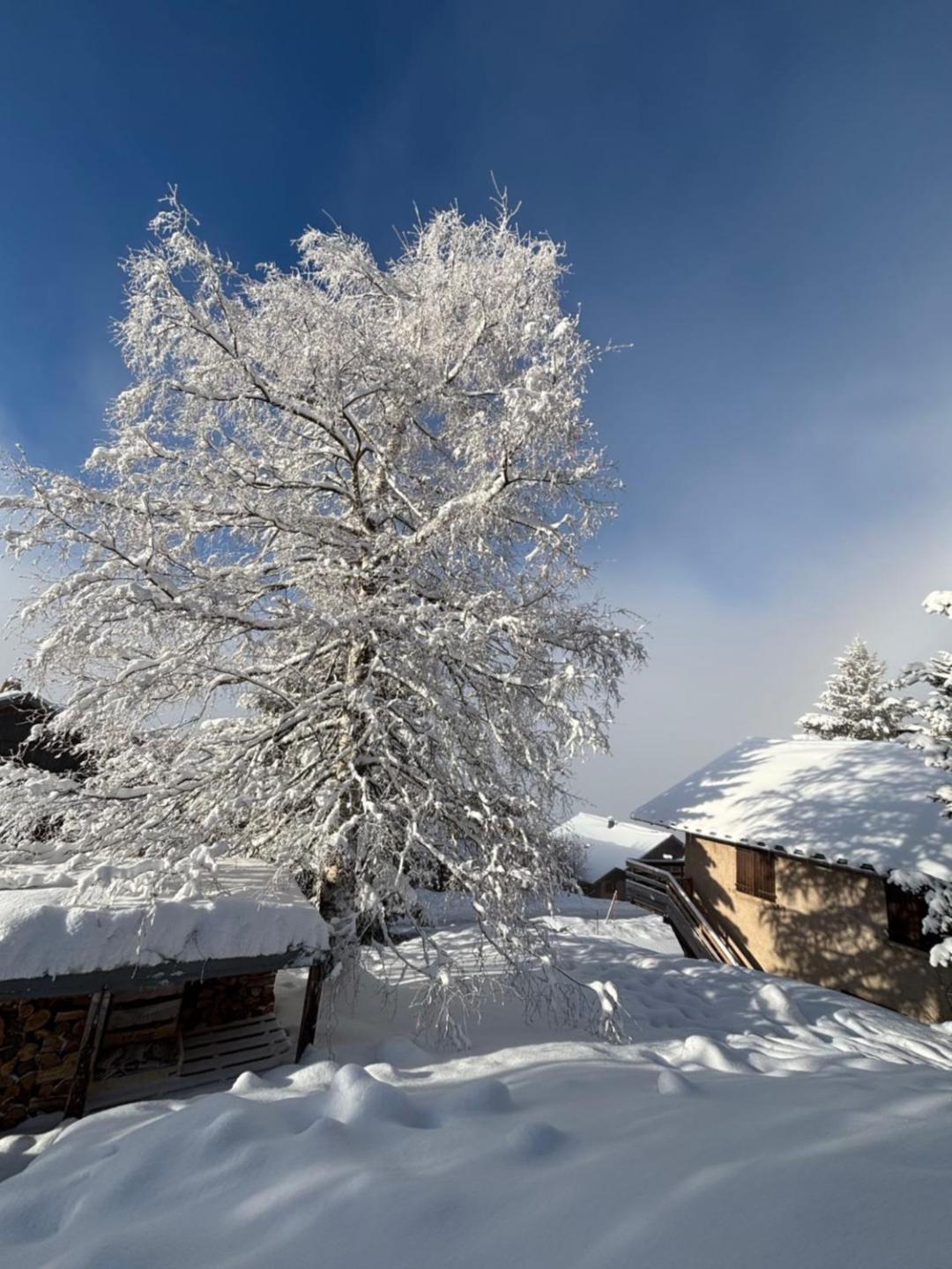 Chalet Rouge Ou Blanc Villard-Reculas Екстер'єр фото