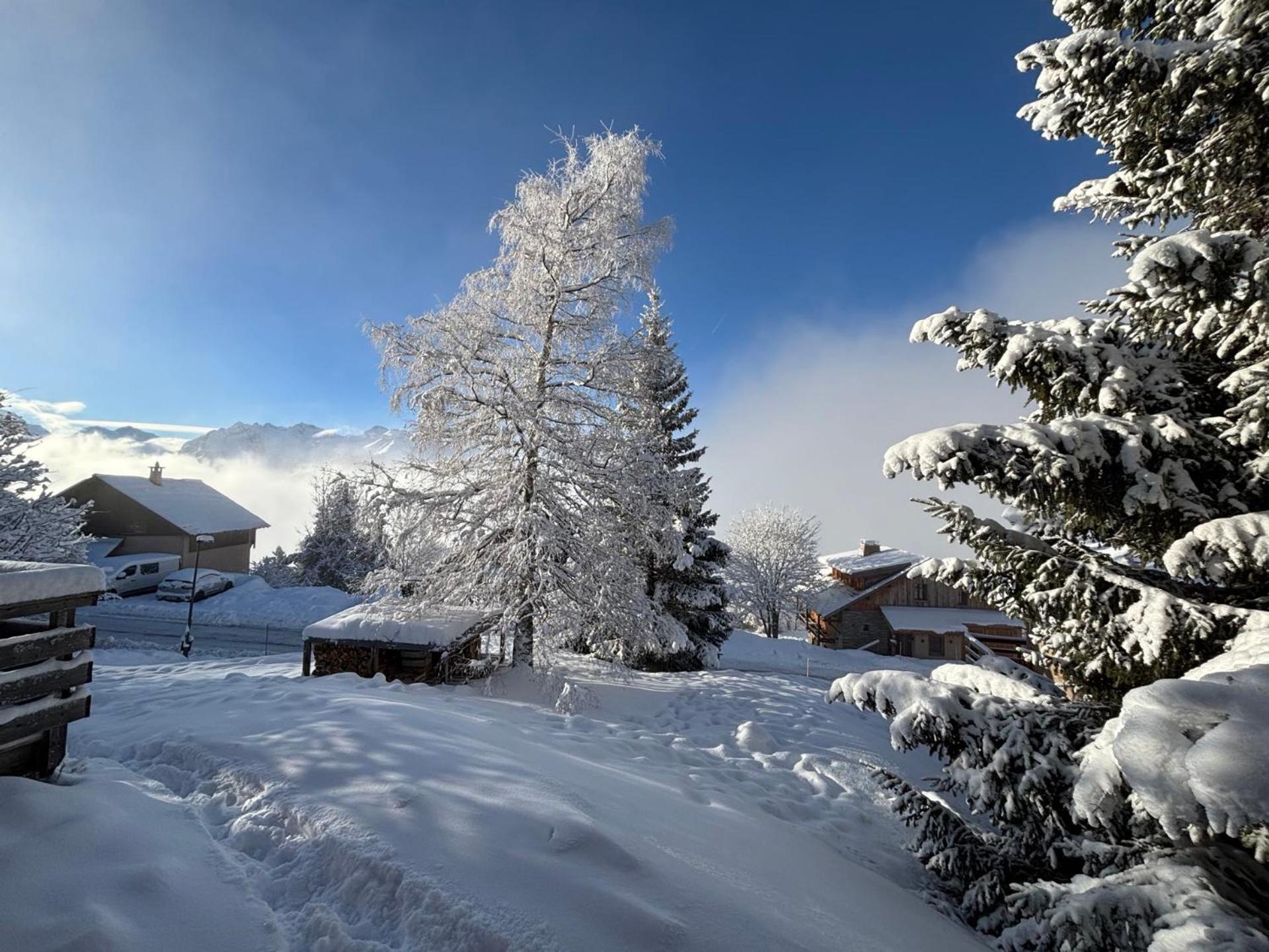 Chalet Rouge Ou Blanc Villard-Reculas Екстер'єр фото